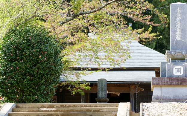 茨城県　小美玉市　日蓮宗　教信坊寺院概要イメージ